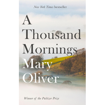 A Thousand Mornings (Paperback) bij Singel 344