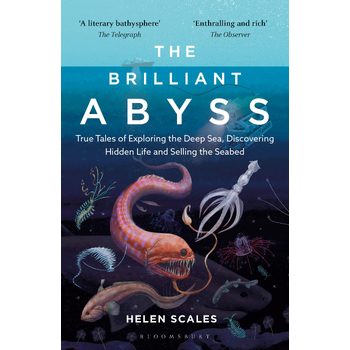 The Brilliant Abyss (Paperback) bij Singel 344
