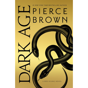 Dark Age (Paperback) bij Singel 344