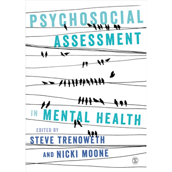 Psychosocial Assessment in Mental Health (Paperback) bij Singel 344