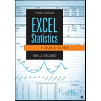 Excel Statistics: A Quick Guide (Paperback) bij Singel 344