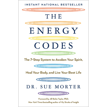 The Energy Codes (Paperback) bij Singel 344