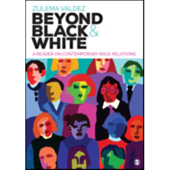 Beyond Black and White: A Reader on Contemporary Race Relations (Paperback) bij Singel 344