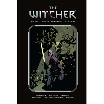 The Witcher Library Edition Volume 1 (Hardback) bij Singel 344