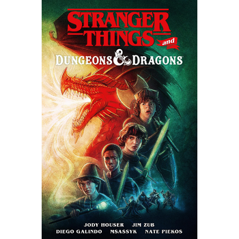 Stranger Things and Dungeons & Dragons (Graphic Novel) (Paperback) bij Singel 344