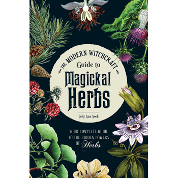 The Modern Witchcraft Guide to Magickal Herbs (Hardback) bij Singel 344