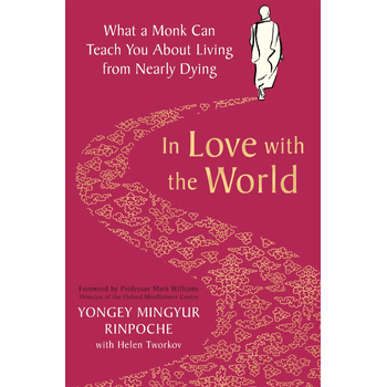 In Love with the World (Paperback) bij Singel 344