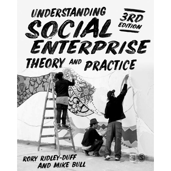 Understanding Social Enterprise (Paperback) bij Singel 344
