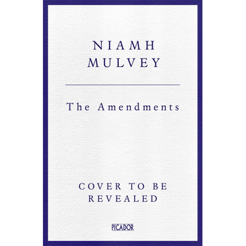 The Amendments (Paperback) bij Singel 344