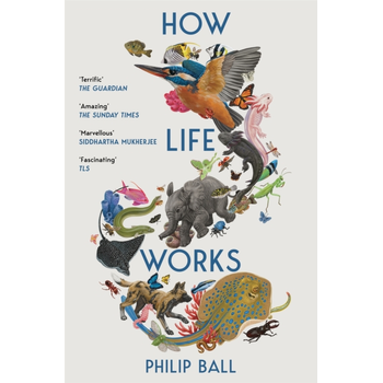 How Life Works (Paperback) bij Singel 344