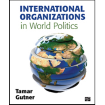 International Organizations in World Politics (Paperback) bij Singel 344