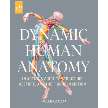 Dynamic Human Anatomy (Hardback) bij Singel 344