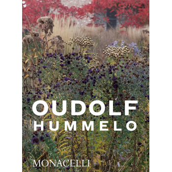 Hummelo (Paperback) bij Singel 344