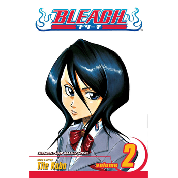 Bleach, Vol. 2 (Paperback) bij Singel 344