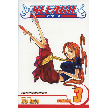 Bleach, Vol. 3 (Paperback) bij Singel 344