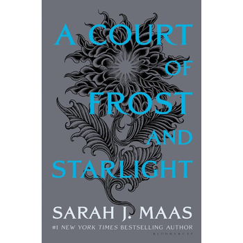 A Court of Frost and Starlight bij Singel 344