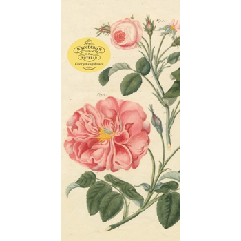 John Derian Paper Goods: Everything Roses Notepad (Paperback) bij Singel 344