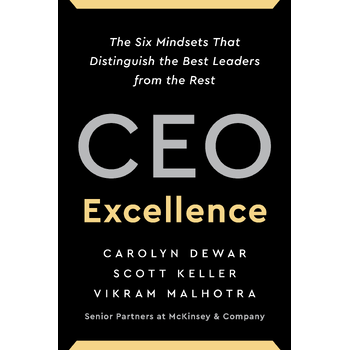 CEO Excellence (Paperback) bij Singel 344