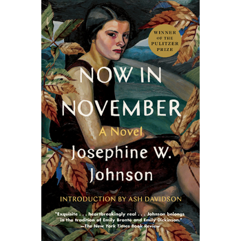 Now in November (Paperback) bij Singel 344