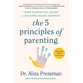 The 5 Principles of Parenting (Paperback) bij Singel 344