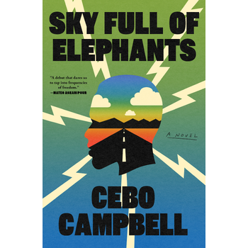 Sky Full of Elephants (Hardback) bij Singel 344
