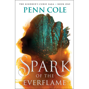 Spark of the Everflame (Hardback) bij Singel 344