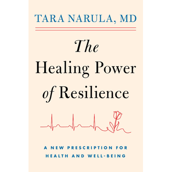 The Healing Power of Resilience (Paperback) bij Singel 344