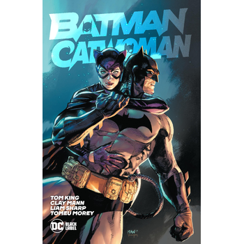 Batman/Catwoman (Hardback) bij Singel 344