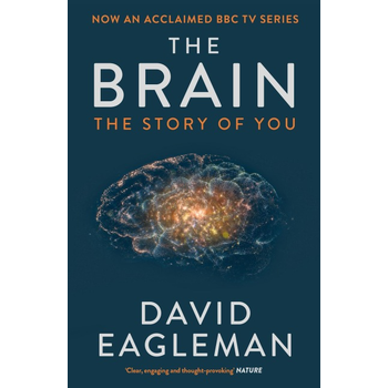 The Brain (Paperback) bij Singel 344