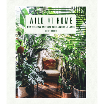 Wild at Home (Hardback) bij Singel 344