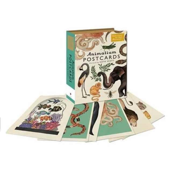Animalium Postcards (Hardback) bij Singel 344