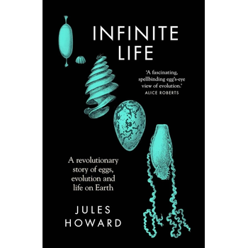 Infinite Life (Paperback) bij Singel 344
