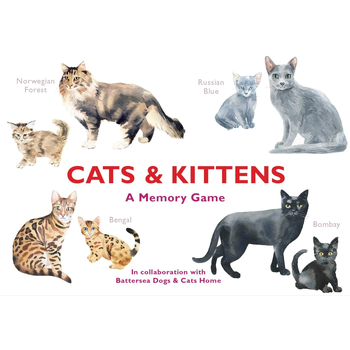 Cats & Kittens bij Singel 344