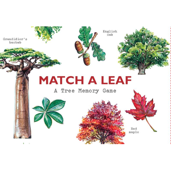 Match a Leaf A Tree Memory Game:A Tree Memory Game bij Singel 344