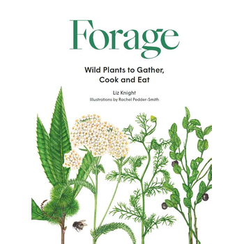 Forage (Hardback) bij Singel 344
