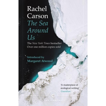The Sea Around Us (Paperback) bij Singel 344
