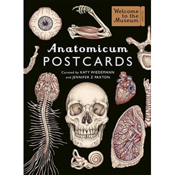 Anatomicum Postcard Box bij Singel 344