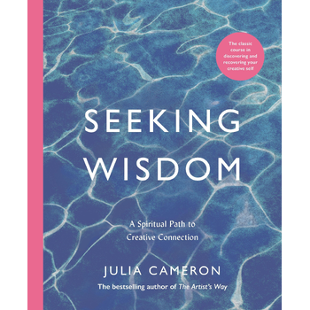 Seeking Wisdom (Paperback) bij Singel 344