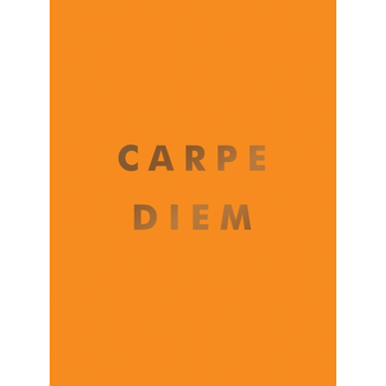 Carpe Diem (Hardback) bij Singel 344