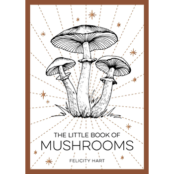 The Little Book of Mushrooms (Paperback) bij Singel 344