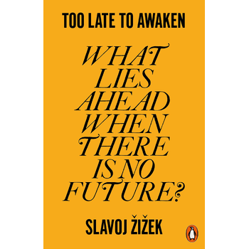 Too Late to Awaken (Paperback) bij Singel 344