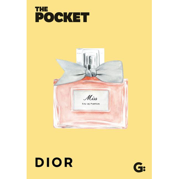 The Pocket Dior (Hardback) bij Singel 344