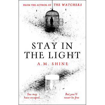 Stay in the Light (Paperback) bij Singel 344