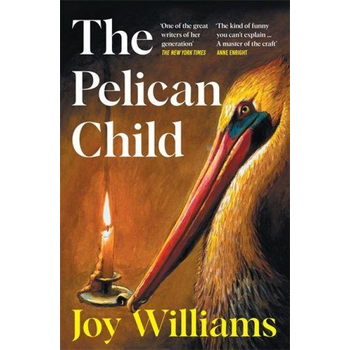 The Pelican Child (Paperback) bij Singel 344