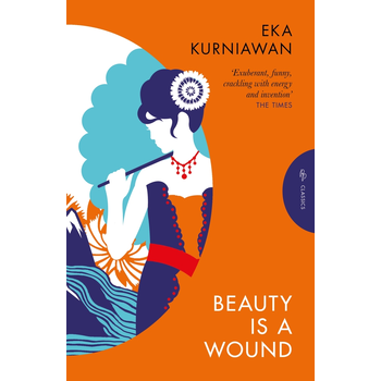 Beauty is a Wound (Paperback) bij Singel 344
