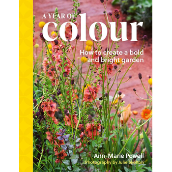 A Year of Colour (Hardback) bij Singel 344