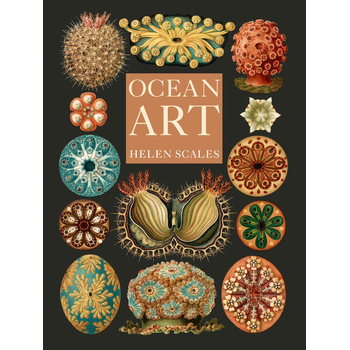 Ocean Art (Hardback) bij Singel 344