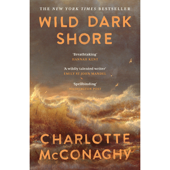 Wild Dark Shore (Paperback) bij Singel 344