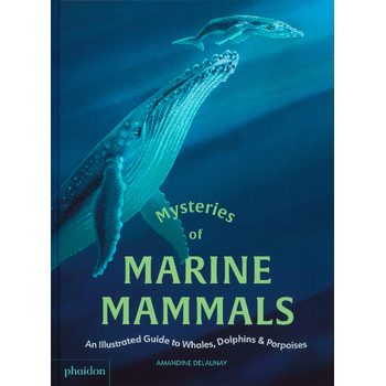 Mysteries of Marine Mammals (Hardback) bij Singel 344