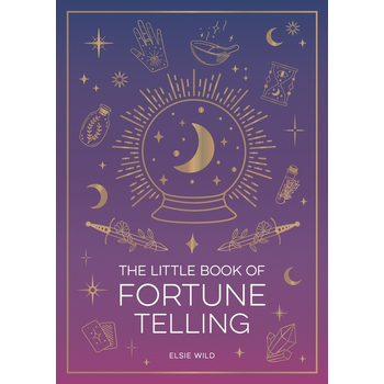 The Little Book of Fortune Telling (Paperback) bij Singel 344